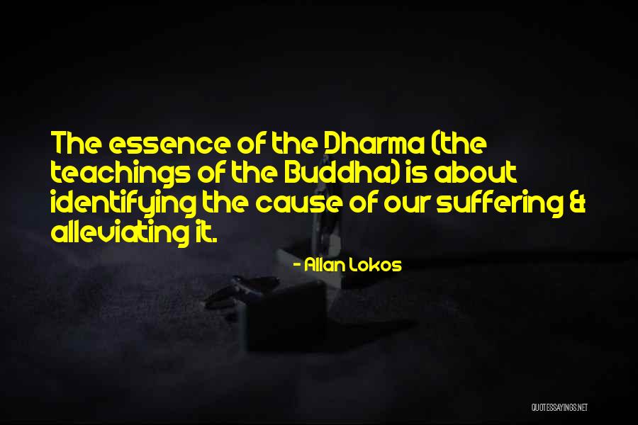 Alleviating Suffering Quotes By Allan Lokos