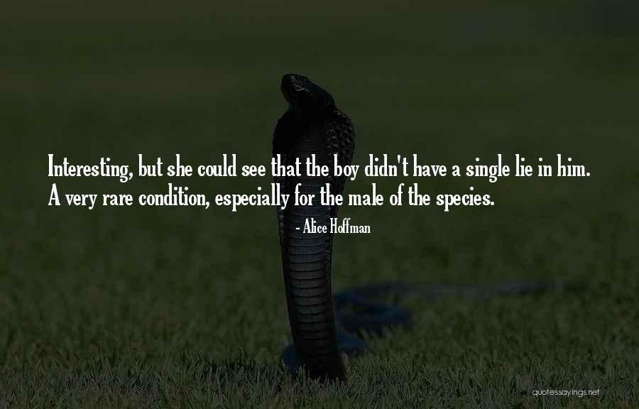 Alley Bird Quotes By Alice Hoffman Alley Bird Quotes By Alice Hoffman