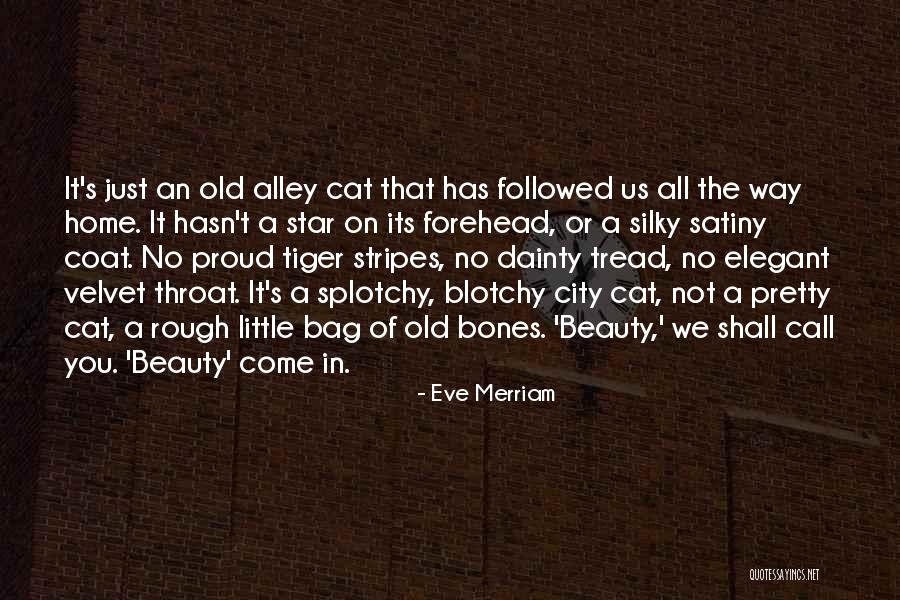 Alley Cat Quotes By Eve Merriam