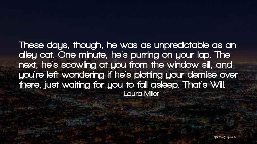 Alley Cat Quotes By Laura Miller