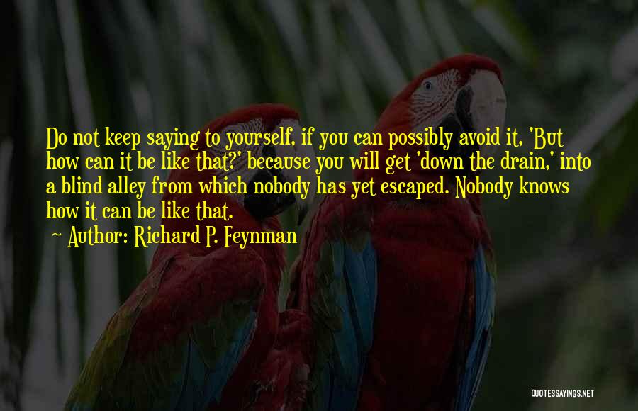 Alley Quotes By Richard P. Feynman
