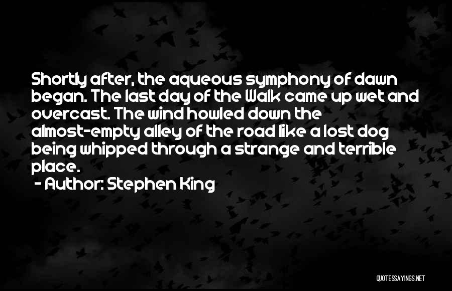 Alley Quotes By Stephen King