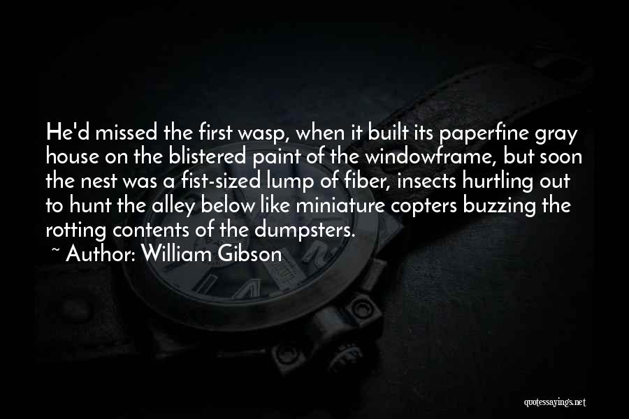 Alley Quotes By William Gibson