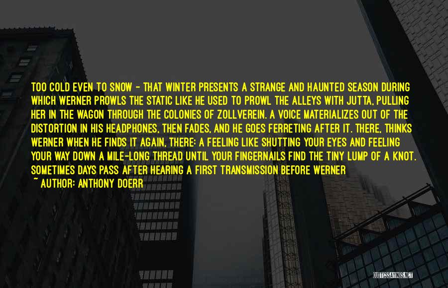Alleys Quotes By Anthony Doerr
