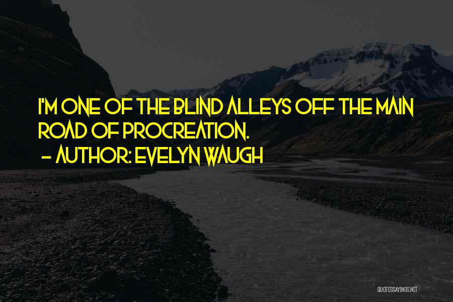 Alleys Quotes By Evelyn Waugh