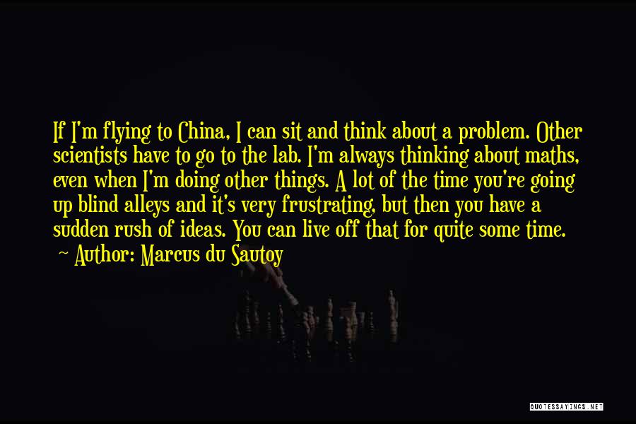 Alleys Quotes By Marcus Du Sautoy