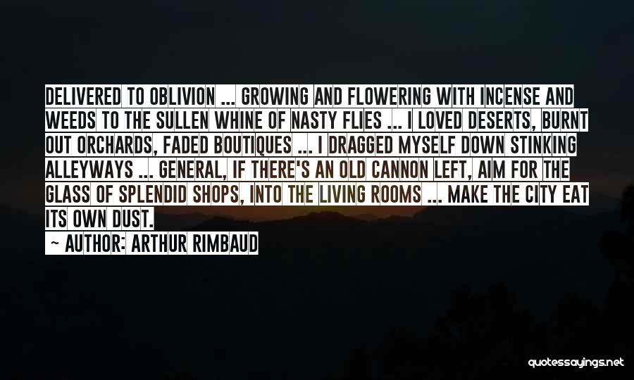 Alleyways Quotes By Arthur Rimbaud