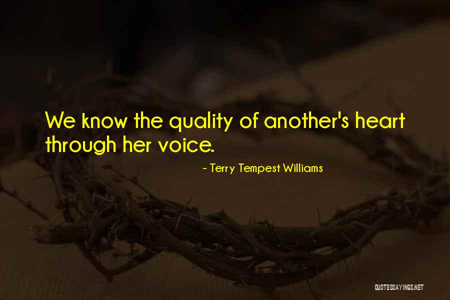 Allgeier Air Quotes By Terry Tempest Williams