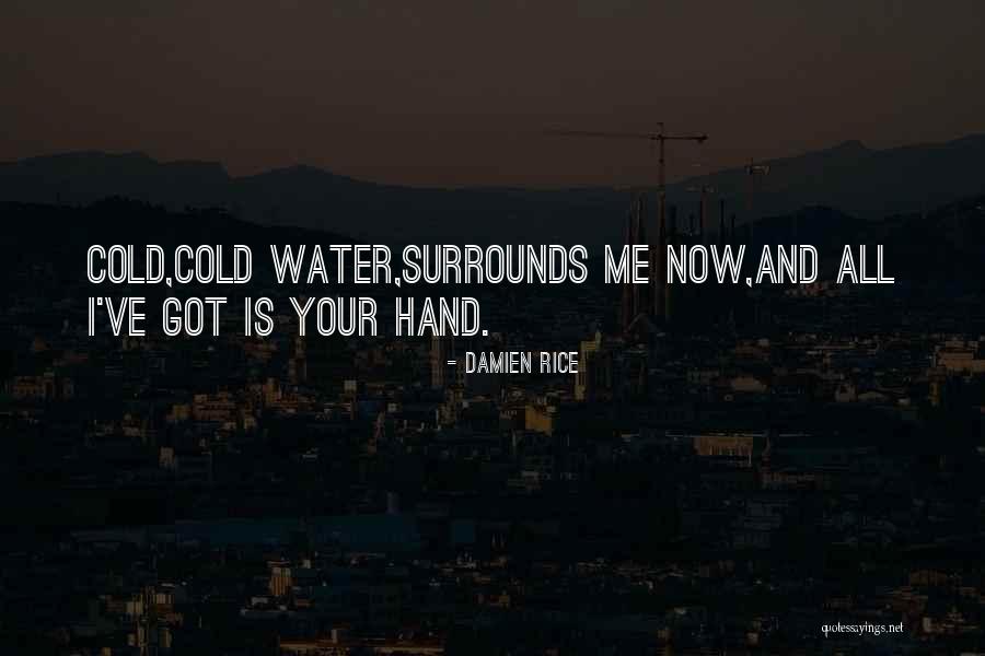 Alliance Texas Quotes By Damien Rice Alliance Texas Quotes By Damien Rice