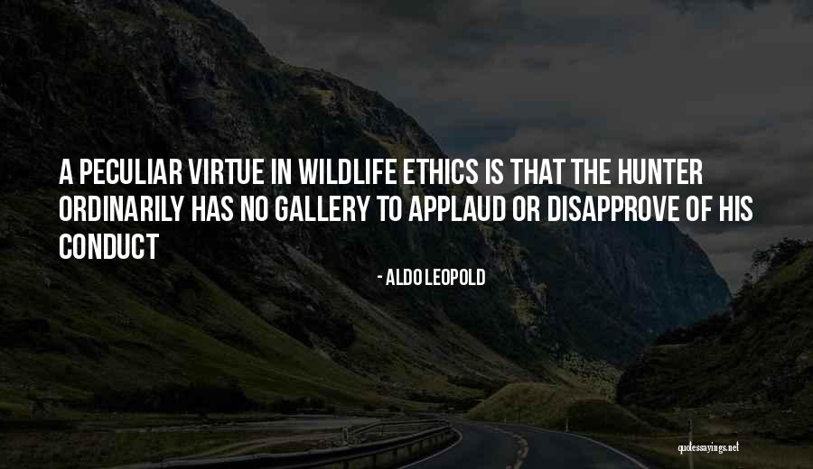 Allie Hamilton Quotes By Aldo Leopold Allie Hamilton Quotes By Aldo Leopold