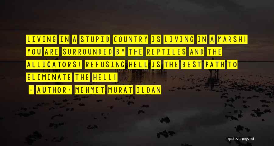 Alligators Quotes By Mehmet Murat Ildan