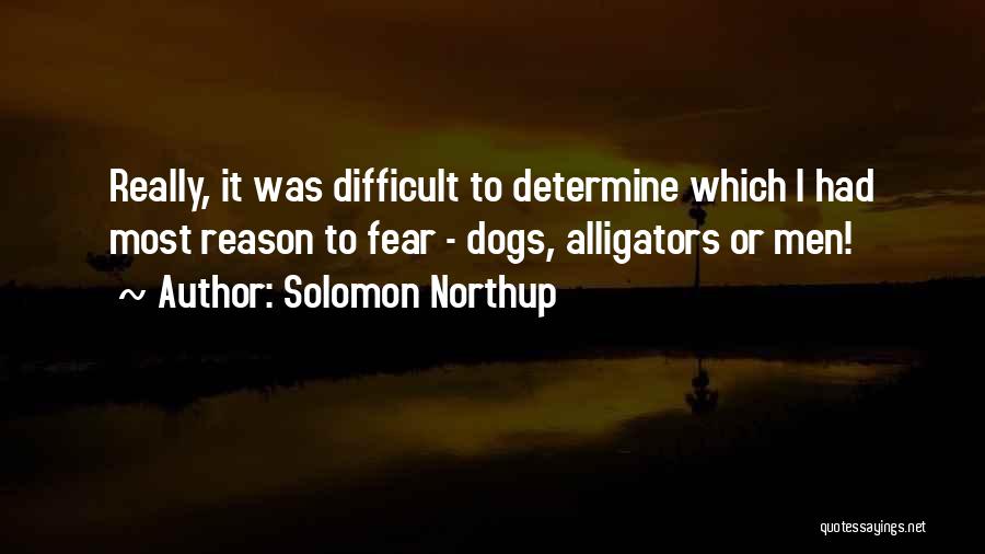 Alligators Quotes By Solomon Northup