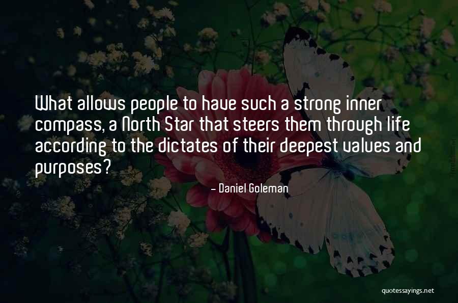 Allinger Construction Quotes By Daniel Goleman Allinger Construction Quotes By Daniel Goleman