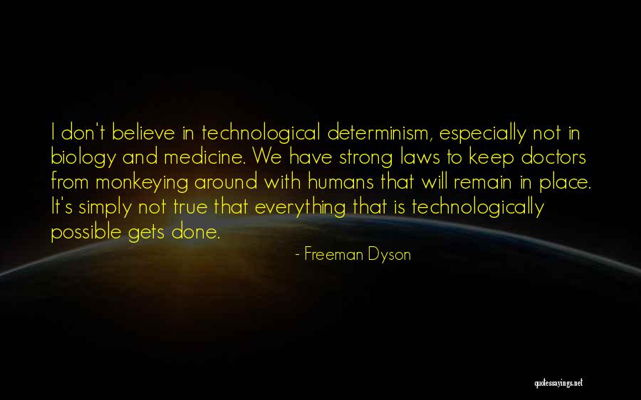 Allingham Campground Quotes By Freeman Dyson Allingham Campground Quotes By Freeman Dyson