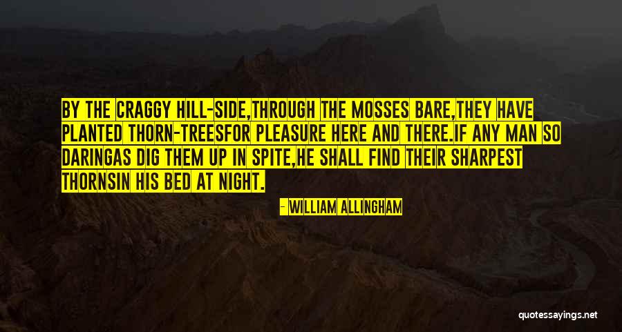 Allingham Poetry Quotes By William Allingham Allingham Poetry Quotes By William Allingham