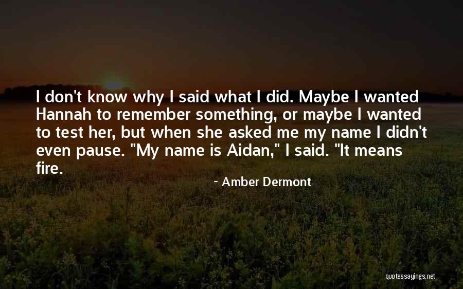 Alliservis Quotes By Amber Dermont