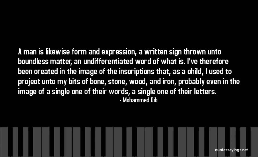 Alliservis Quotes By Mohammed Dib
