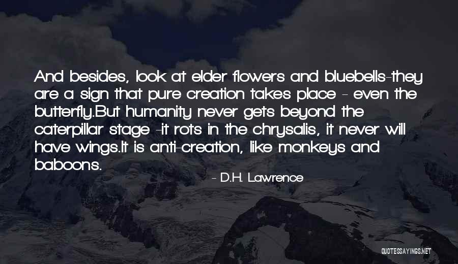 Allness Define Quotes By D.H. Lawrence Allness Define Quotes By D.H. Lawrence
