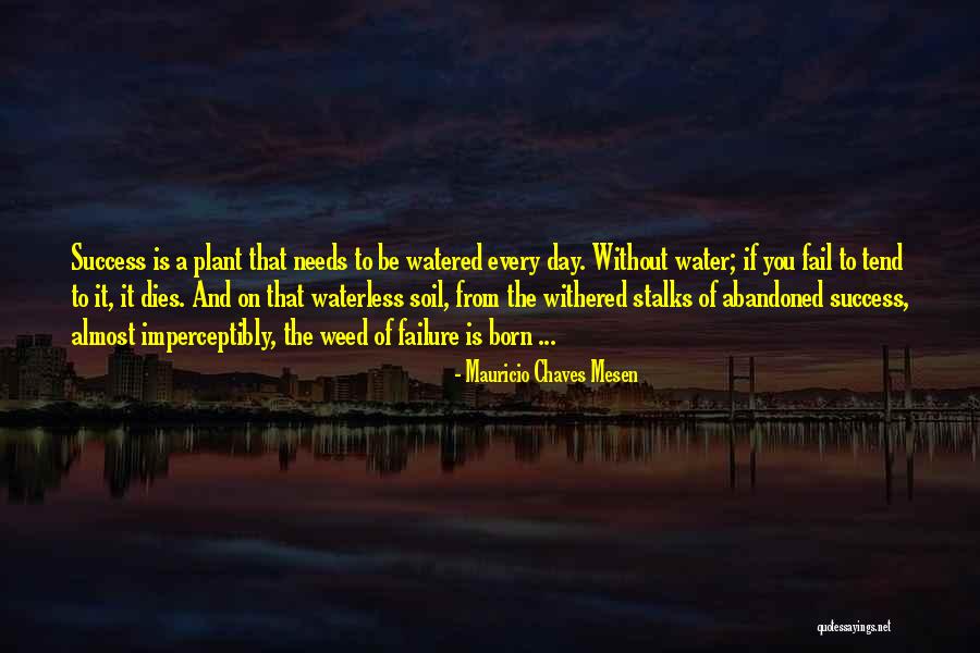 Allodial Land Quotes By Mauricio Chaves Mesen Allodial Land Quotes By Mauricio Chaves Mesen