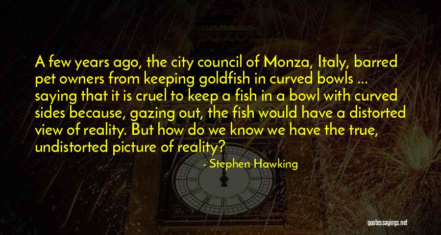 Allontana Quotes By Stephen Hawking Allontana Quotes By Stephen Hawking