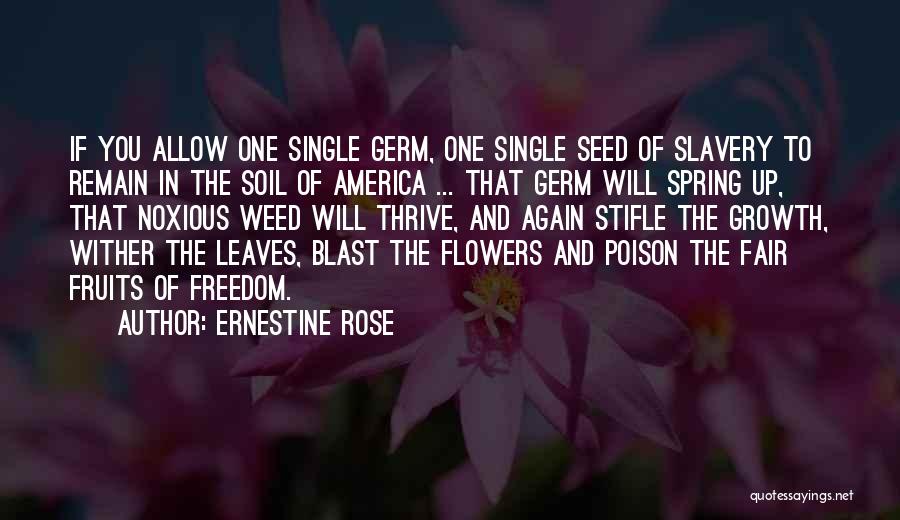 Allow Single Quotes By Ernestine Rose