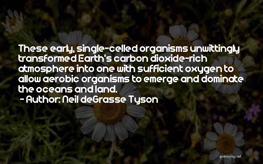 Allow Single Quotes By Neil DeGrasse Tyson