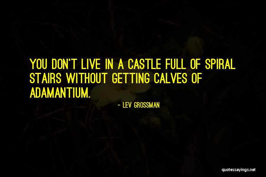 Allowables Nikki Quotes By Lev Grossman Allowables Nikki Quotes By Lev Grossman