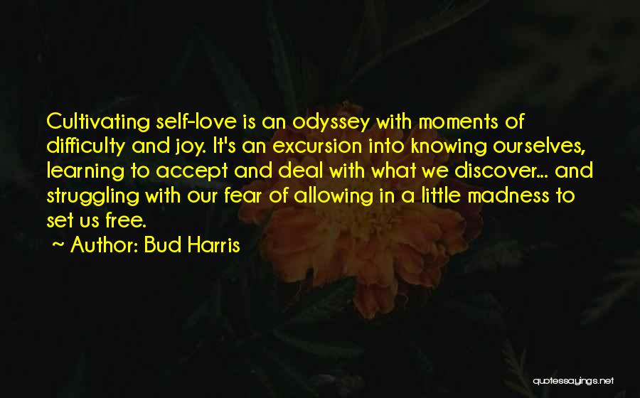 Allowing Love Quotes By Bud Harris