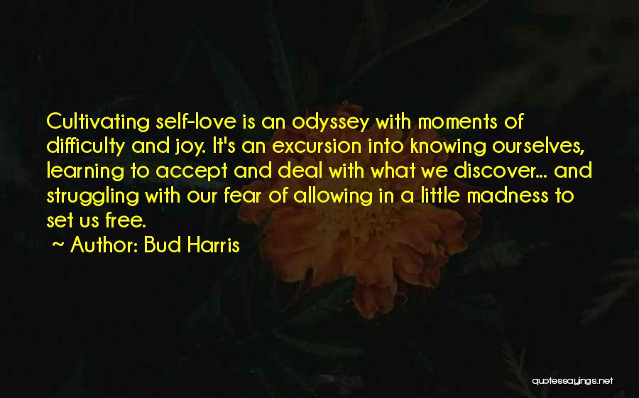 Allowing Yourself To Love Quotes By Bud Harris