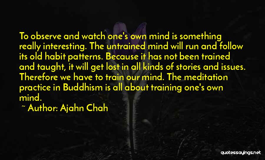 All's Not Lost Quotes By Ajahn Chah