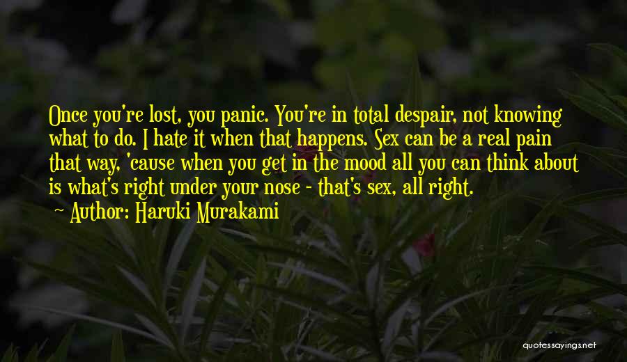 All's Not Lost Quotes By Haruki Murakami