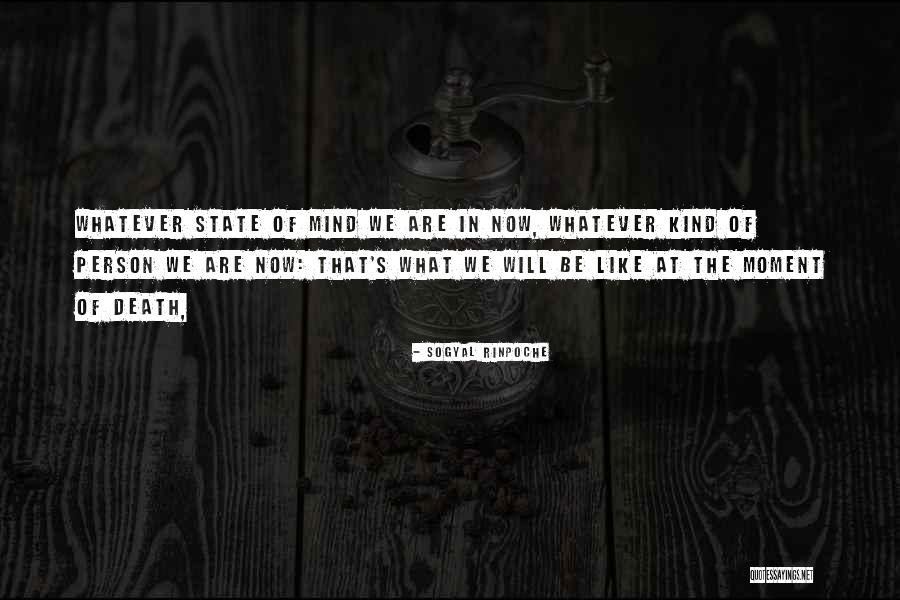 Allstocks Quotes By Sogyal Rinpoche Allstocks Quotes By Sogyal Rinpoche