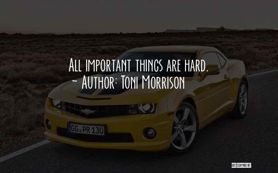 Allupato Quotes By Toni Morrison