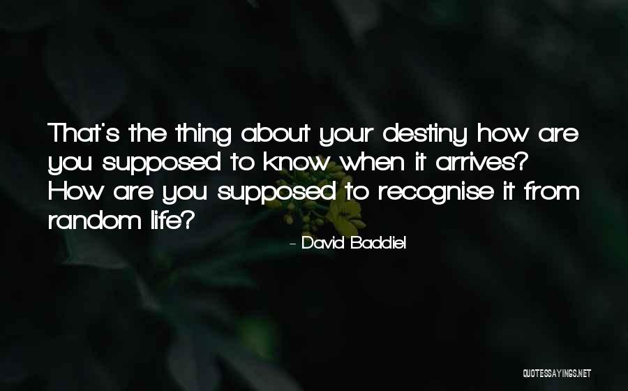 Alluvione Valtellina Quotes By David Baddiel Alluvione Valtellina Quotes By David Baddiel