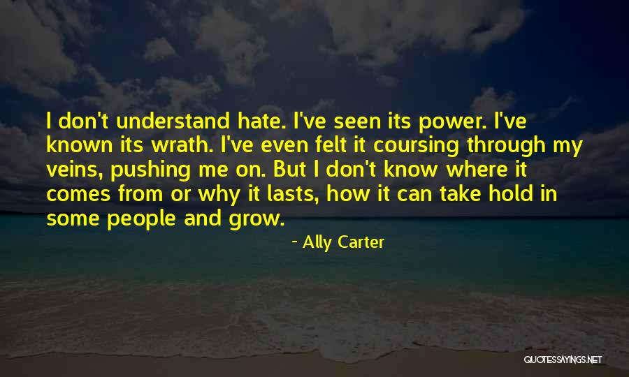 Ally Carter Quotes 172408