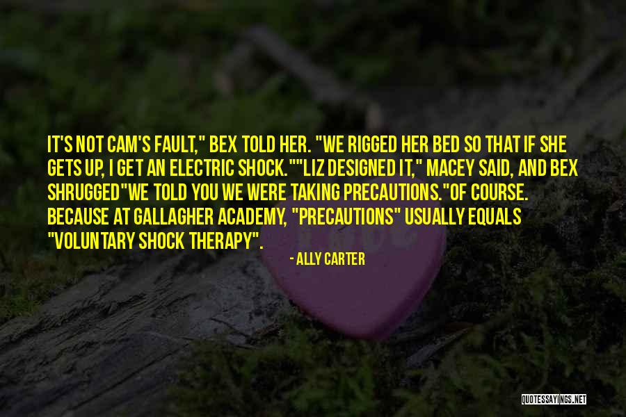 Ally Carter Quotes 1962068