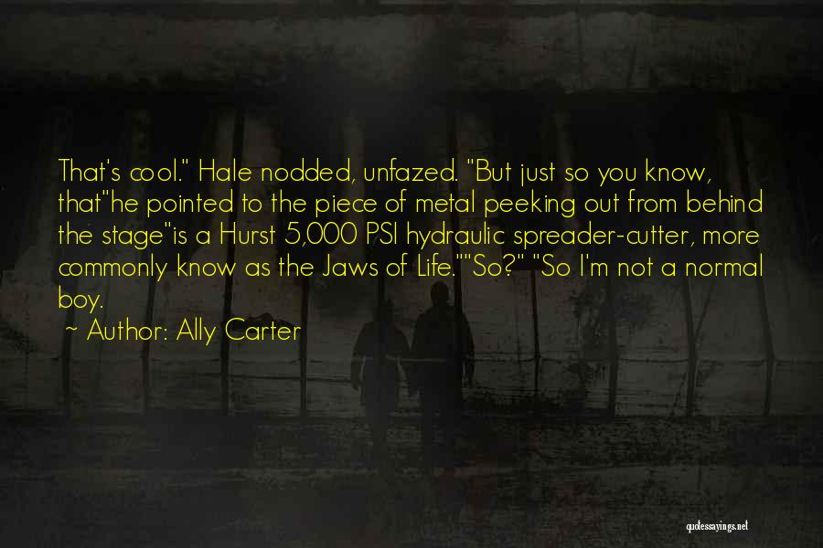 Ally Carter Quotes 2067520