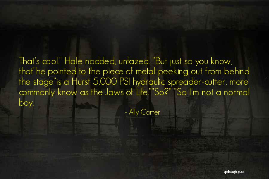 Ally Carter Quotes 2067520