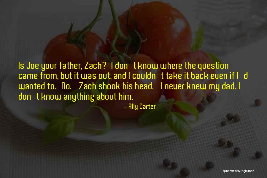 Ally Carter Quotes 881276 Ally Carter Quotes 881276