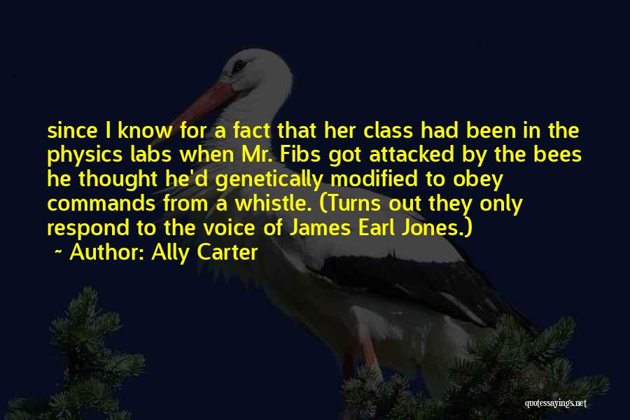Ally Carter Quotes 903836