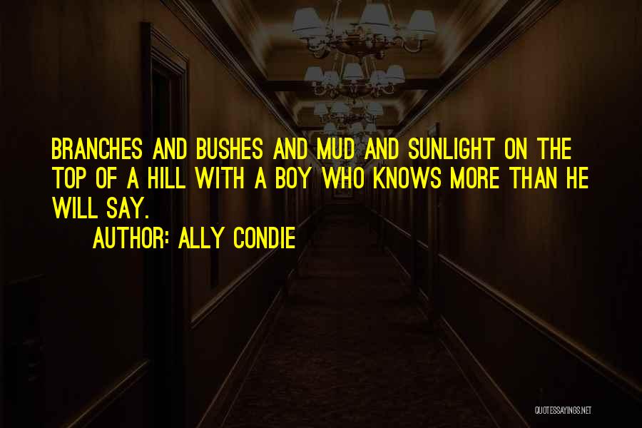 Ally Condie Quotes 1672950