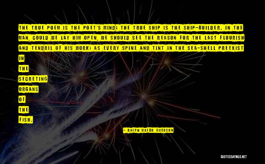 Allysun Bryden Quotes By Ralph Waldo Emerson Allysun Bryden Quotes By Ralph Waldo Emerson