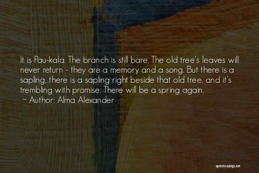 Alma Alexander Quotes 1275654