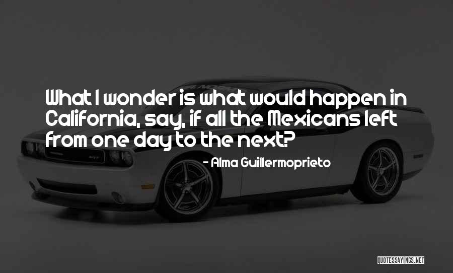 Alma Guillermoprieto Quotes 915183