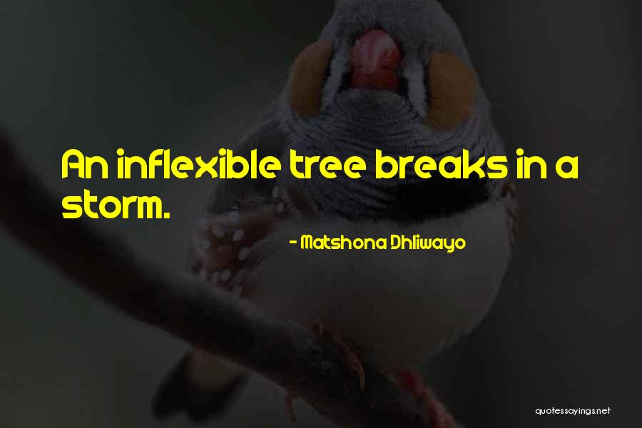 Almadanya Quotes By Matshona Dhliwayo Almadanya Quotes By Matshona Dhliwayo
