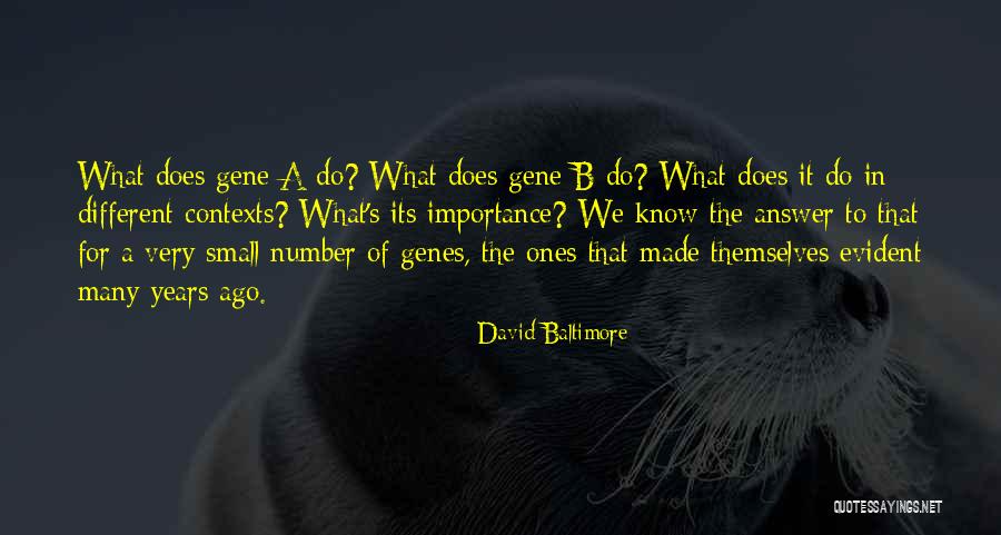 Almerinda Oliveira Quotes By David Baltimore Almerinda Oliveira Quotes By David Baltimore