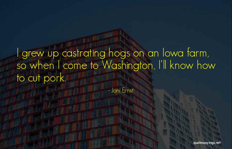 Almeyda Soccer Quotes By Joni Ernst Almeyda Soccer Quotes By Joni Ernst