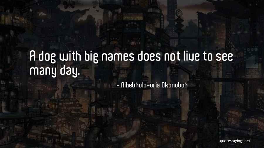 Almohadas De Plumas Quotes By Aihebholo-oria Okonoboh