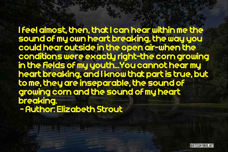 Almost Breaking Up Quotes By Elizabeth Strout