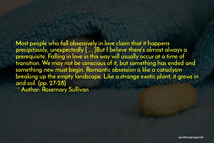 Almost Breaking Up Quotes By Rosemary Sullivan